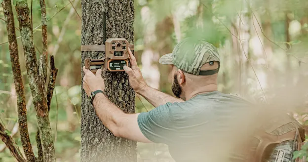 Capture Every Moment: Discover the Power of Solaris Trail Cameras for Outdoor Enthusiasts